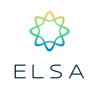 Elsa