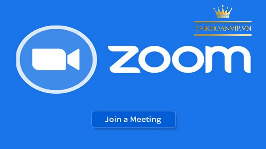 Zoom for PC Windows 11 – Phiên bản tối ưu cho máy tính hiện đại