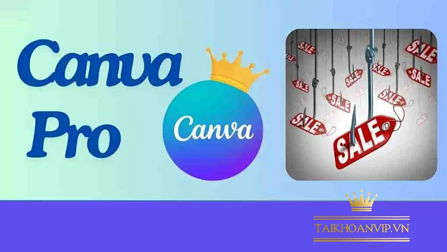 Canva Pro bao nhiêu tiền? So sánh gói tháng, 6 tháng và 1 năm 2025