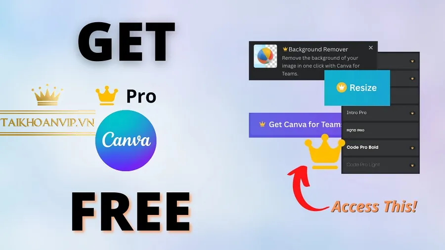 Bạn đã có Canva Pro Free chưa?