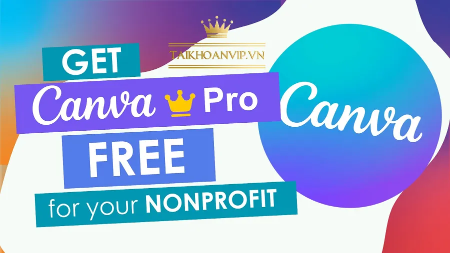 Đánh giá trải nghiệm Canva Pro Free sau 1 tuần sử dụng