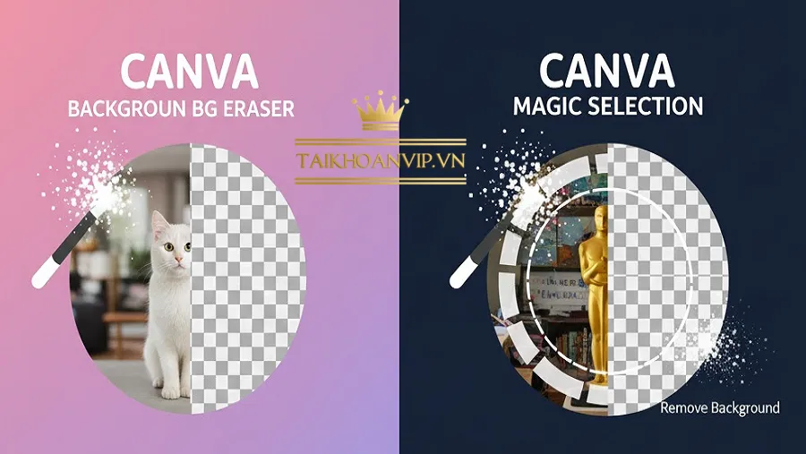 Hướng dẫn xóa nền Canva cơ bản (chỉ 3 bước)
