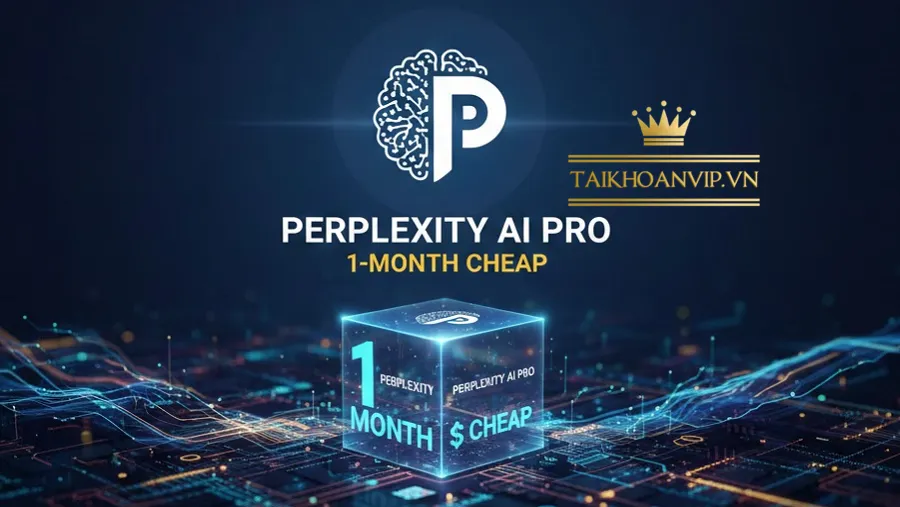 Vì sao Perplexity AI trở nên phổ biến đến vậy?