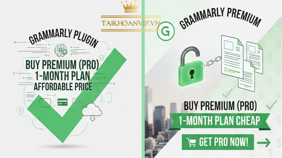 Plugin Grammarly hỗ trợ những ai? Ai nên dùng?