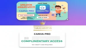 Đăng ký Canva Pro miễn phí: Hướng dẫn & Giải pháp Canva Pro giá rẻ