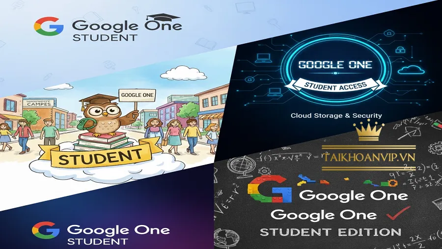 Google One Sinh Viên: Gói Lưu Trữ Tiết Kiệm Cho Học Tập