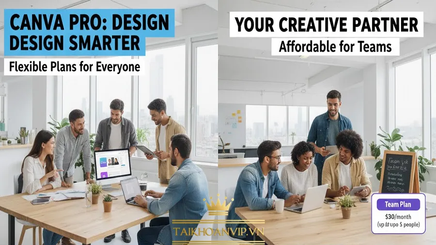 Mua Canva Pro bao nhiêu tiền? Giá Canva Pro mới nhất 2026